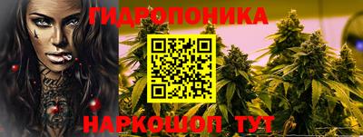 ешки Камышлов