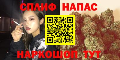a pvp Моздок