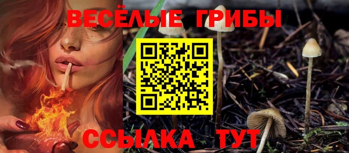 Галлюциногенные грибы ЛСД  Вход с VPN  Шатура 