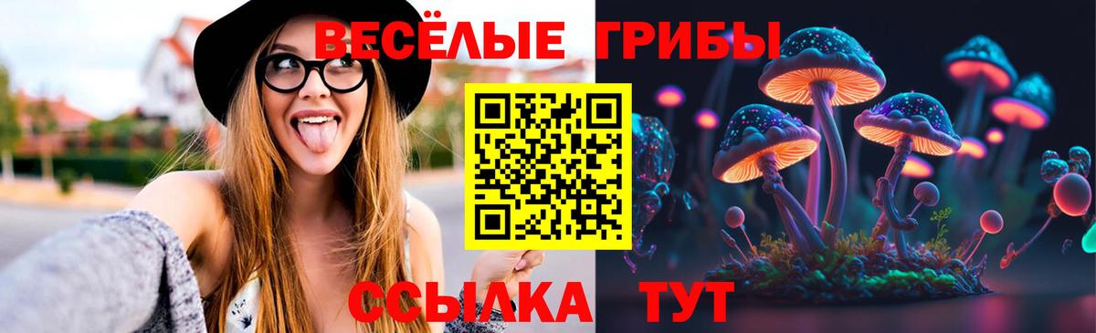 Галлюциногенные грибы Cubensis Шатура